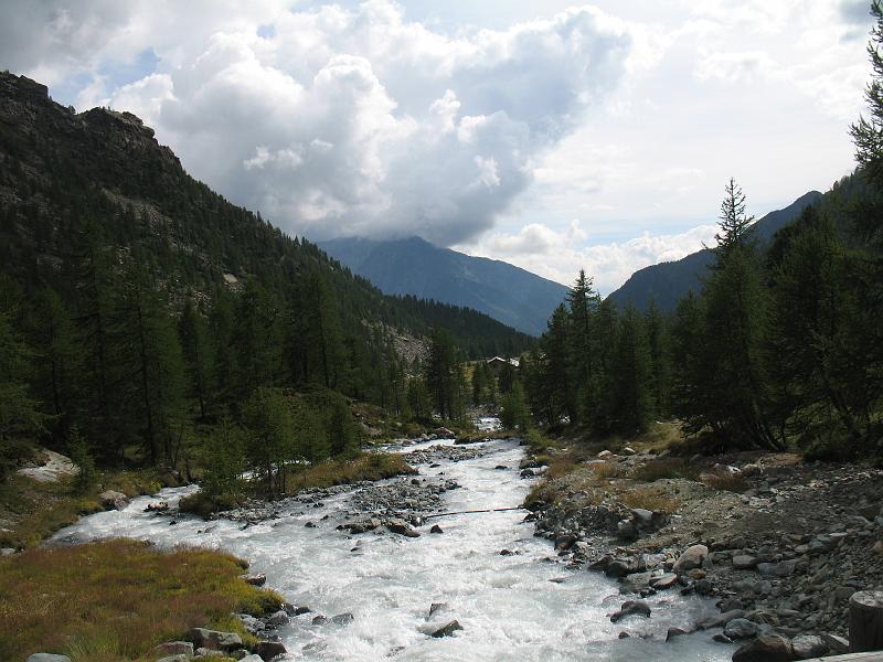 20080829_monterosa_michi 042.jpg - Nach dem vielen Schnee wirkt das Grün der Bäume komisch
